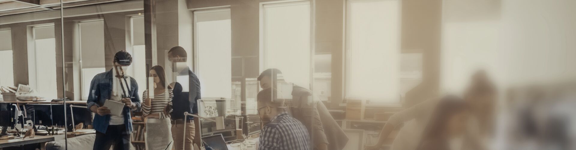 This image shows the banner for the "Career" page.